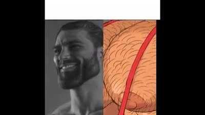 Gigachad VS Terachad