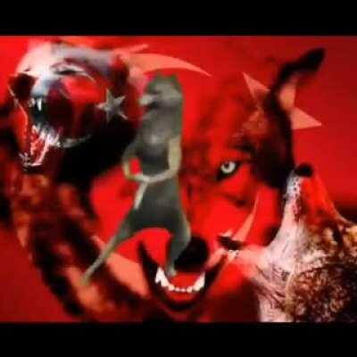 Amerikalı arkadaşıma mehter marşı dinletmişimdir: