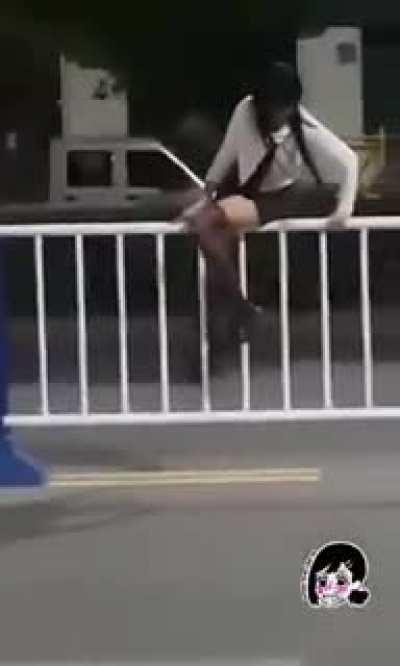 adaptaciones fieles al manga