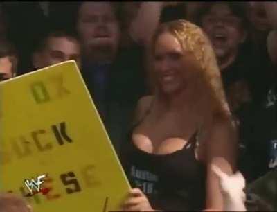 Triple H interacts with a fan