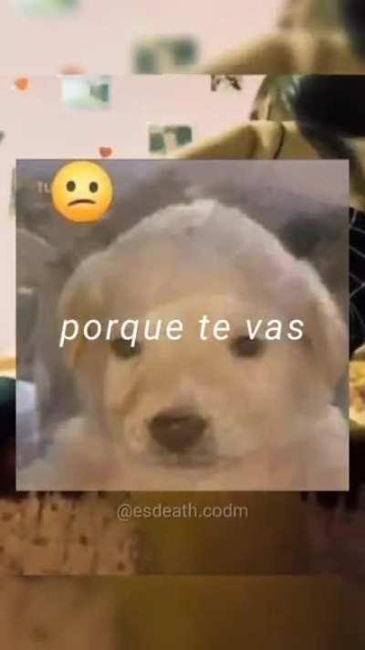 BeelcitosMemes - Video #9189