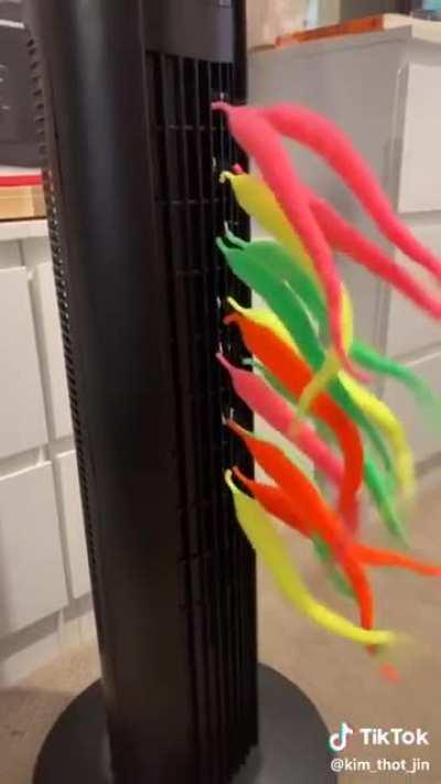 my serotonin levels just increased