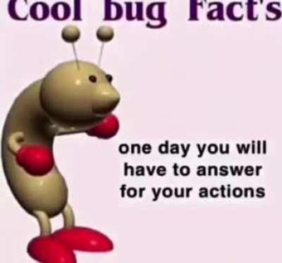 cool bug fact’s (not mine)