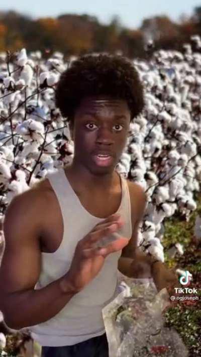 Así se les mantiene a raya 😈😈😈