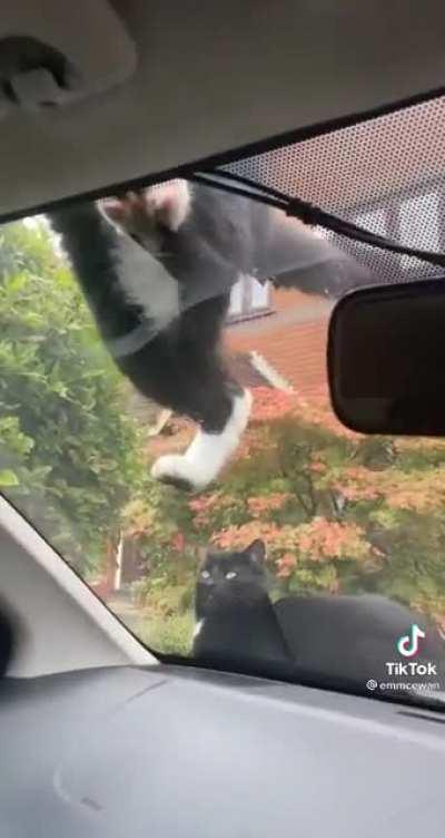 Thought y’all may enjoy this 💕