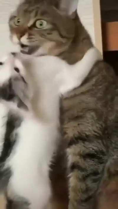 He just wanna game with homies