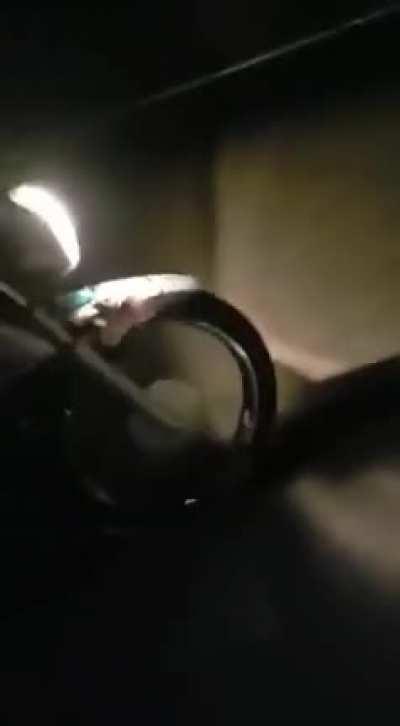 Wheelies + Car at highway speed = Disaster