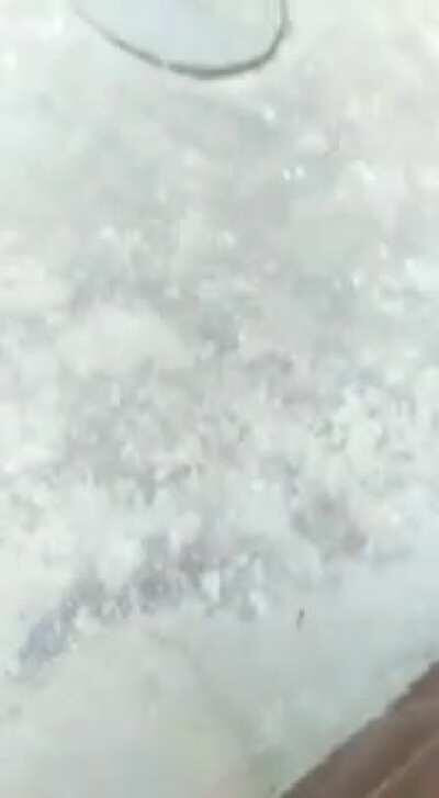 A stuffed and striped murderer.