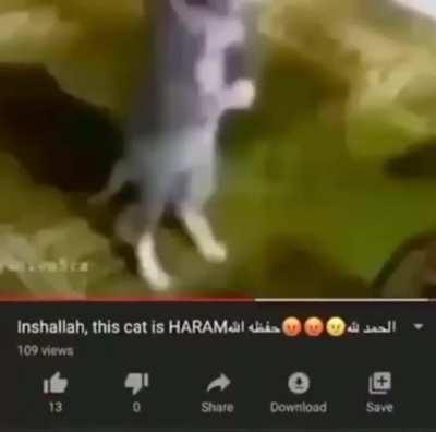 أندريا من فضلك استمع لي وأجب😭🦆🥵