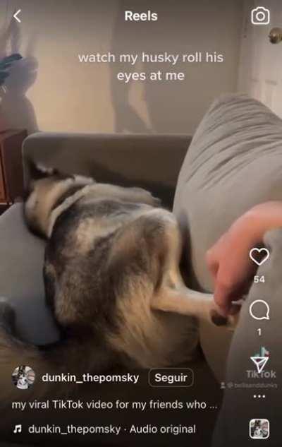 The things I put up with…