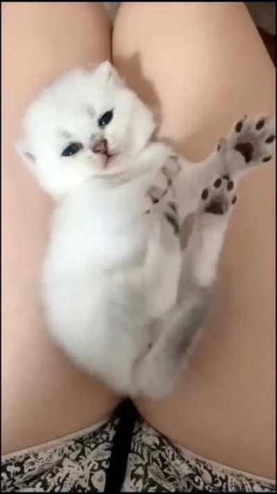 What an adorable lil baby 😍