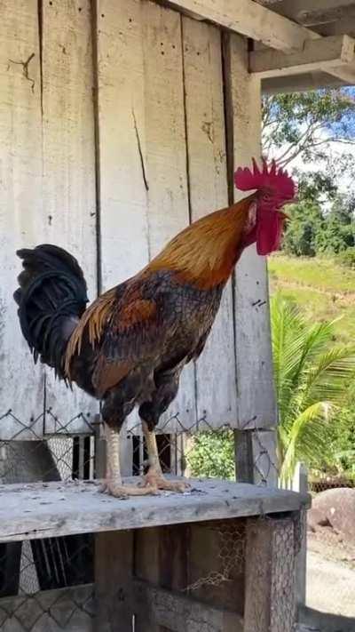 Making sure you are awake..