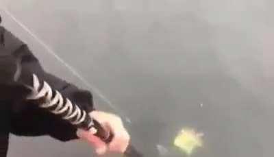 The boys go out fishing