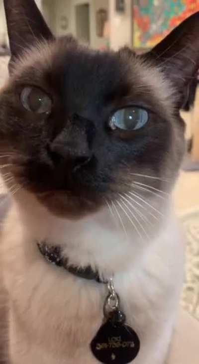 It Must Be Close to 6pm