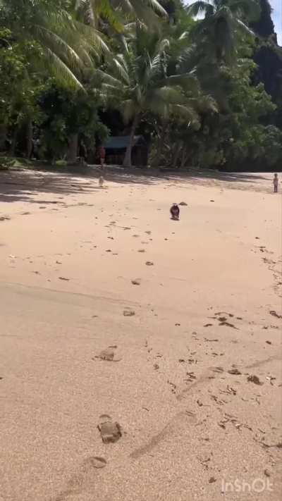 Doggo is a Forza player.