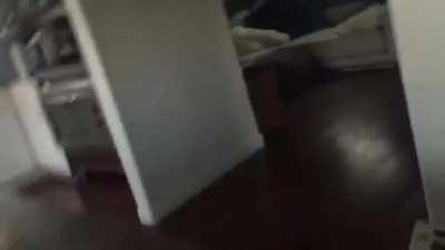 Cat tries to get in a plastic bag