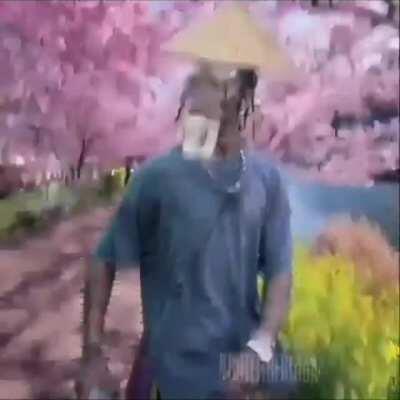 Jaja travis chino travis chino