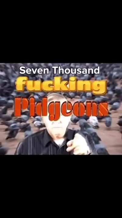 [TC] POV: You fight heretics dedicated to Andrelphus