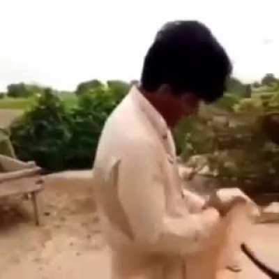 Pajeet Forgot to ask Cow for Consent & Gets Wrecked