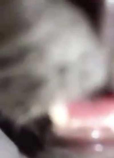 You have been S N I F F E D