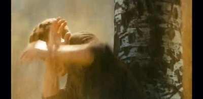 Optimus always has the best insults 