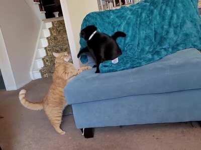 Ah, brotherly love...