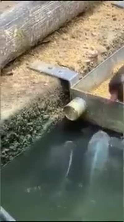 Wow, I wouldn't have believe this if is not on record.