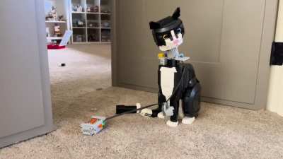 The cat needs an exorcism