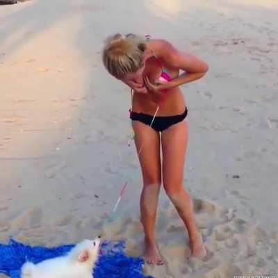 Первый пес открыватель темы си…