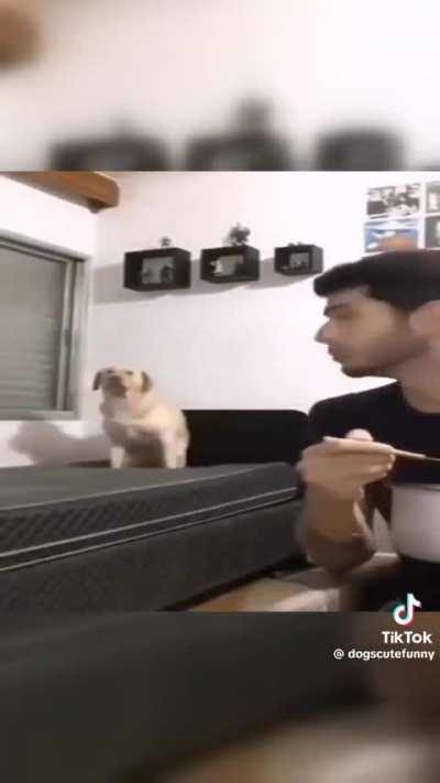 PedroDBR - Video #9493