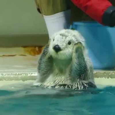 Ohh, oh my. I am so happy to be here!