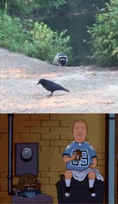 Bobby Hill and T-Rac looking to feast tomorrow