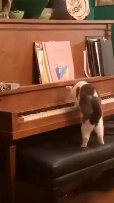 must have been a composer in a past life