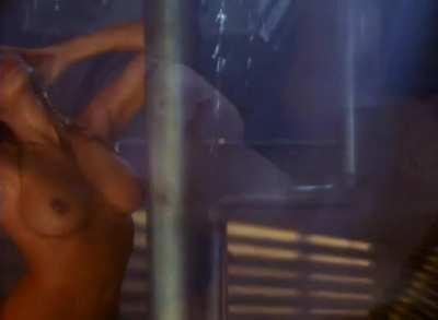 Pamela Anderson Playboy‘s Babes of Baywatch