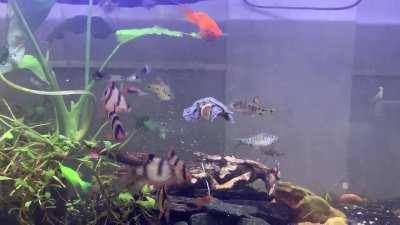 For those who asked to see more of her