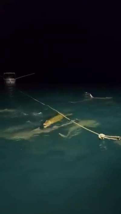 New phobia unlocked. Thanks!