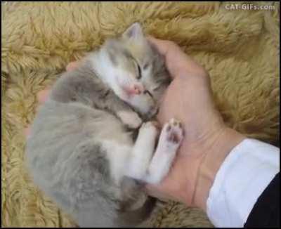 Do not under any circumstances look directly at the toe beens