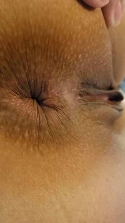 Winking and hugging my ass on your tongue right before I cum 