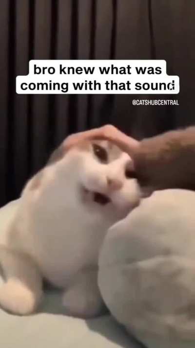 Something to cheer or distract yall