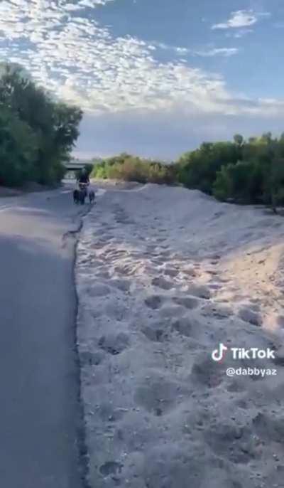 Biker thinks she owns the road