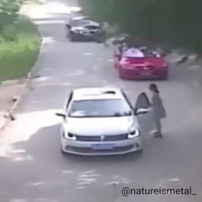 Would you like to drive?