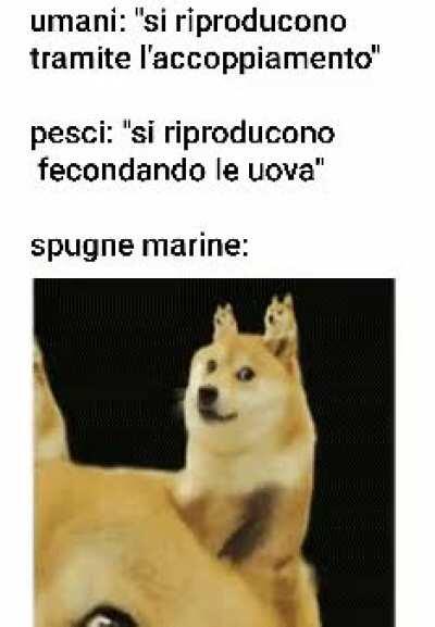 Titolo