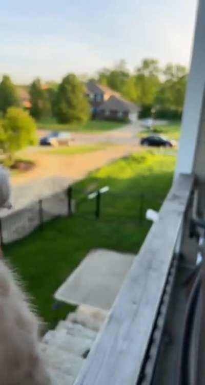 Mothers are all same 😇