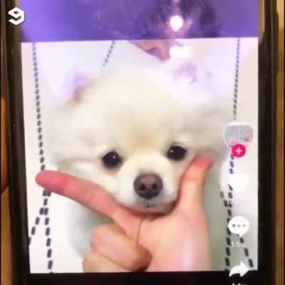 Expectations vs Reality