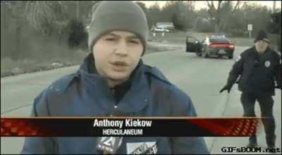 Deer Caught In The Headlights