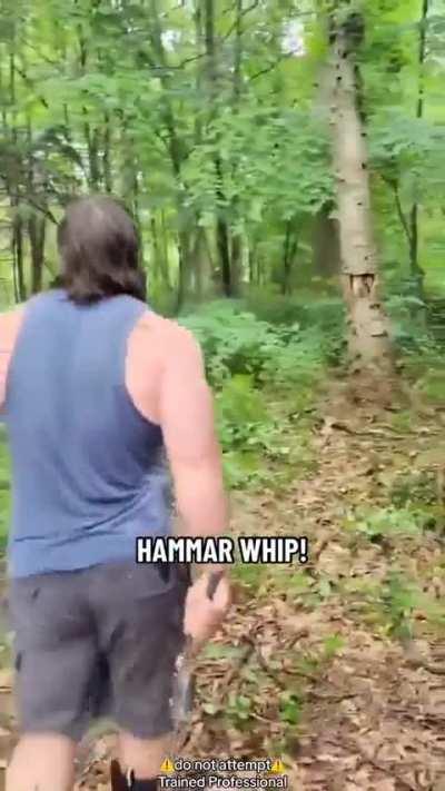 Hammer Whip 🔥🔥🔥