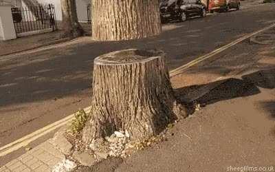 Thanks, I hate biting trees