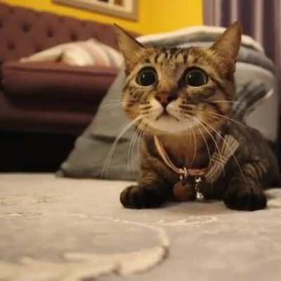 Have a nice day! (◠‿◕)