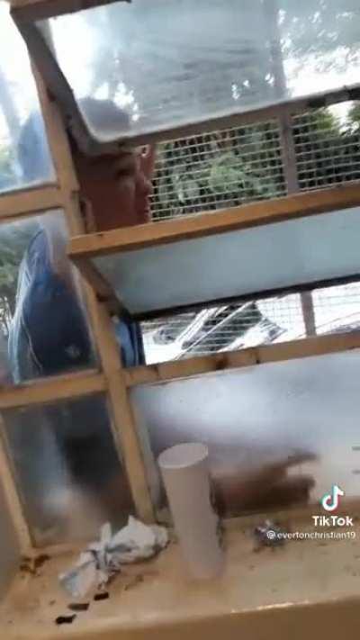 madeiras fujindo da escola