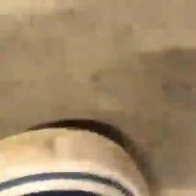 He's def knocked out.